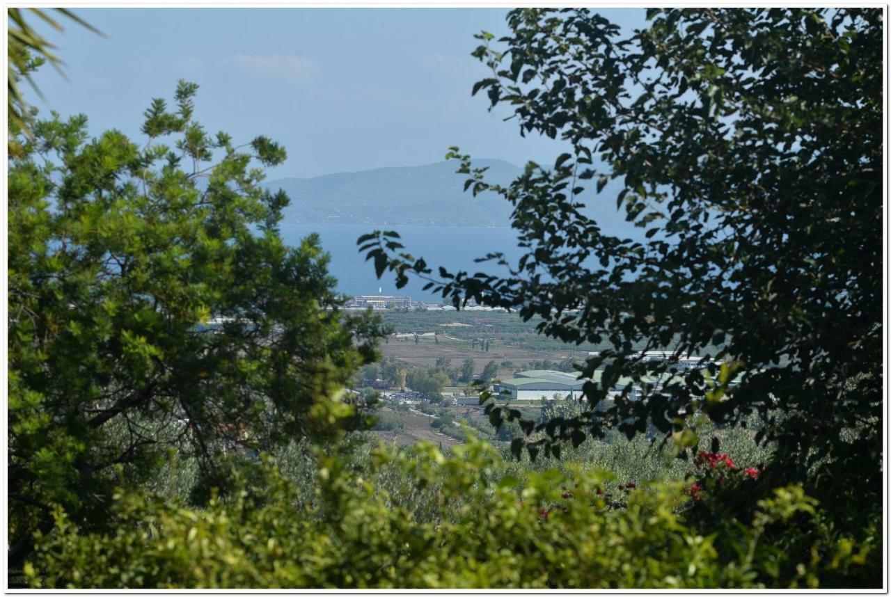 Cozy Home With Great View In Ancient Corinth المظهر الخارجي الصورة